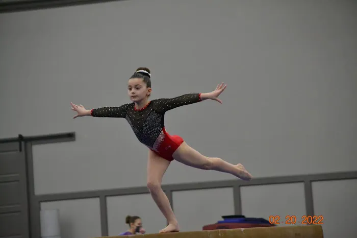 Gymnastics Academy of Rockford Picture 7