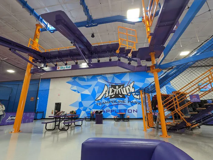 Altitude Trampoline Park - Appleton Picture 9