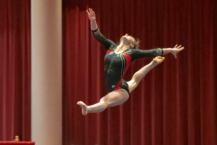Gymfinity Gymnastics Picture 2