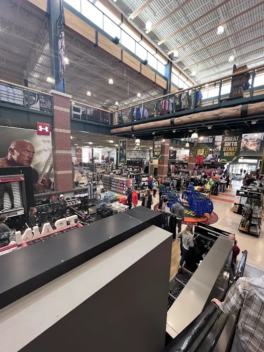 DICK'S Sporting Goods Picture 4