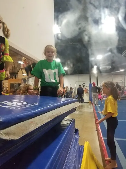 Enso Elite Gymnastics Picture 2