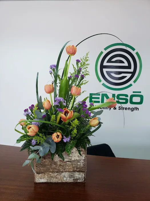Enso Elite Gymnastics Picture 3