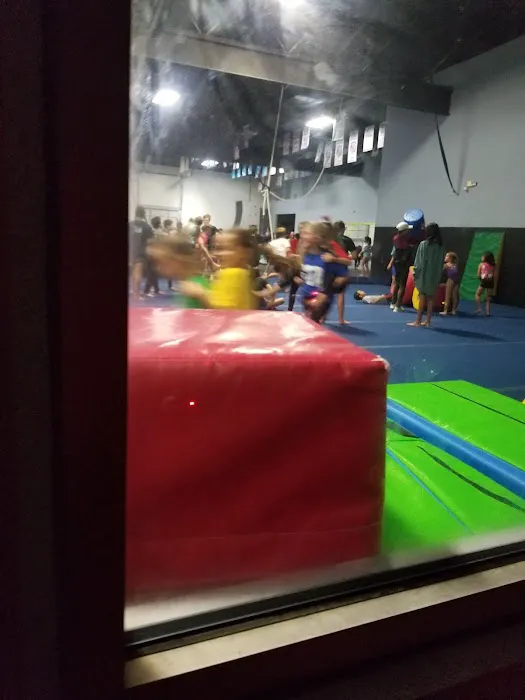 Enso Elite Gymnastics Picture 4