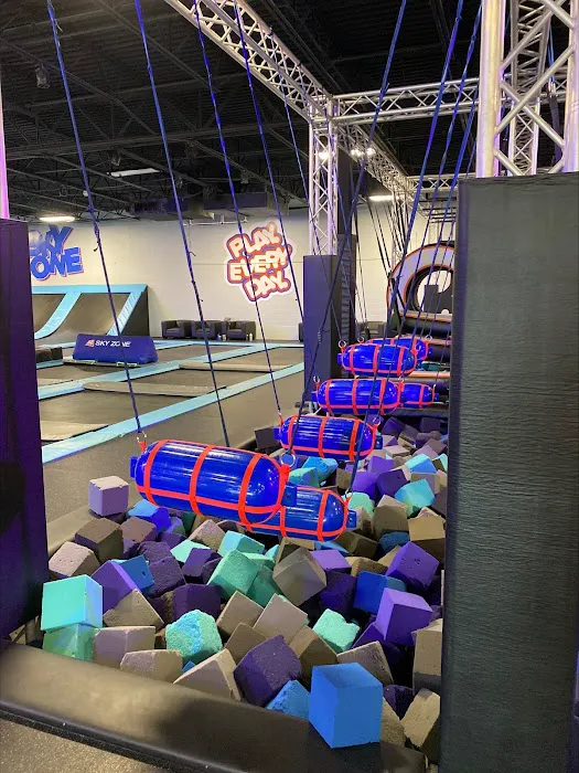 Sky Zone Trampoline Park Picture 7