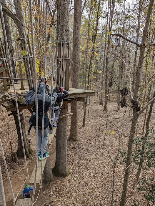 Go Ape Zipline and Adventure Park Picture 2