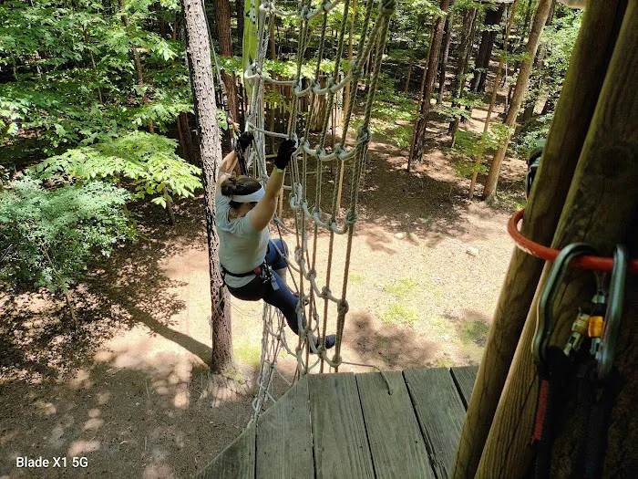 Go Ape Zipline and Adventure Park Picture 8