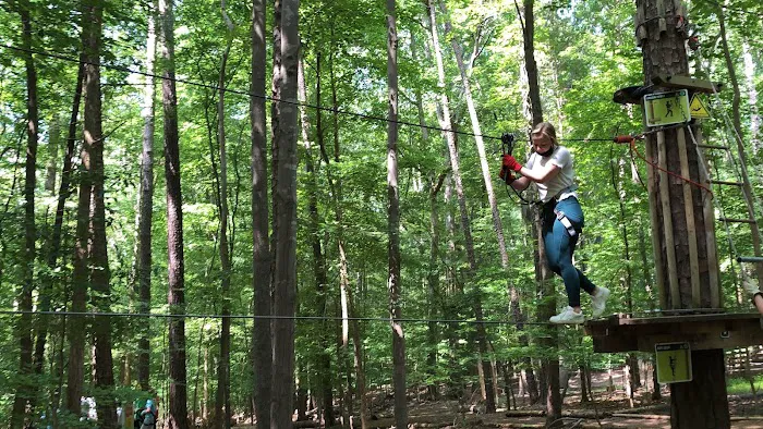 Go Ape Zipline and Adventure Park Picture 7