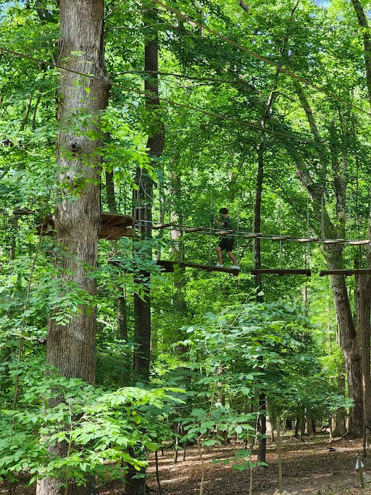 Go Ape Zipline and Adventure Park Picture 5