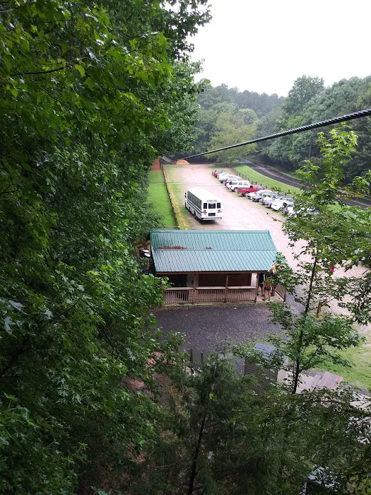 Go Ape Zipline and Adventure Park Picture 4