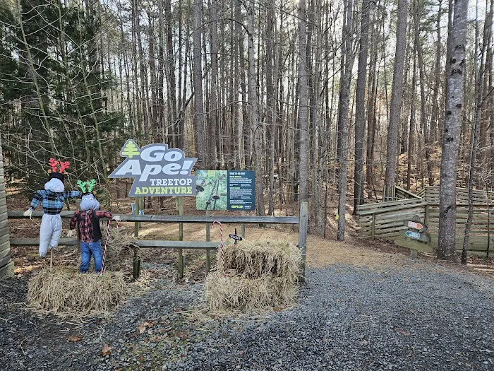 Go Ape Zipline and Adventure Park Picture 9
