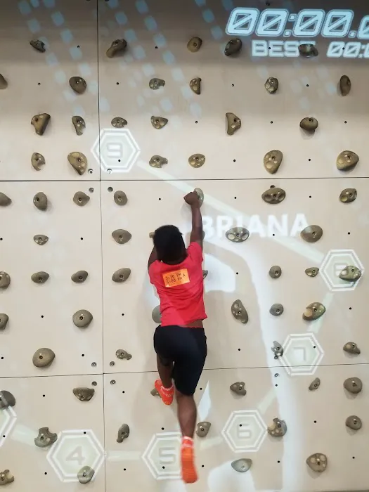 Sky Zone Trampoline Park Picture 4