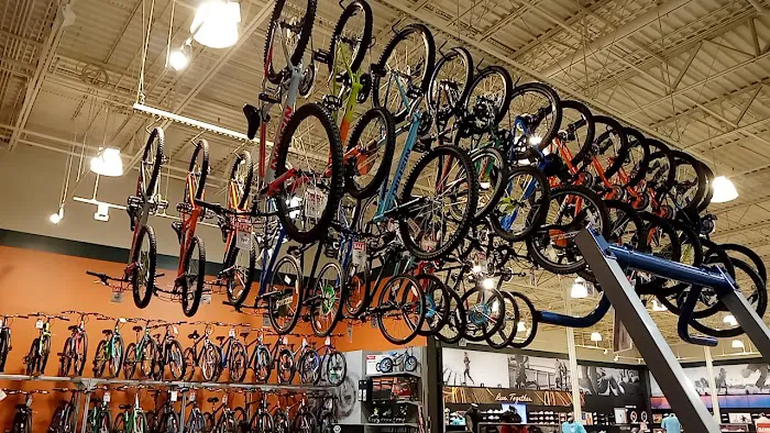 DICK'S Sporting Goods Picture 6