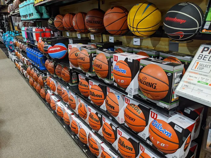 DICK'S Sporting Goods Picture 5
