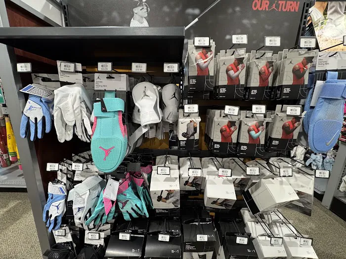 DICK'S Sporting Goods Picture 2