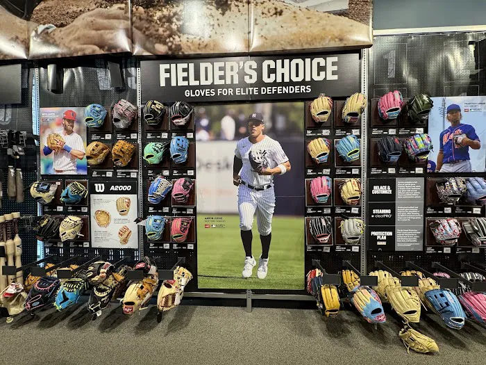 DICK'S Sporting Goods Picture 3