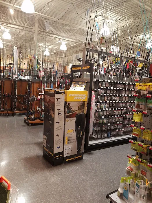 DICK'S Sporting Goods Picture 5