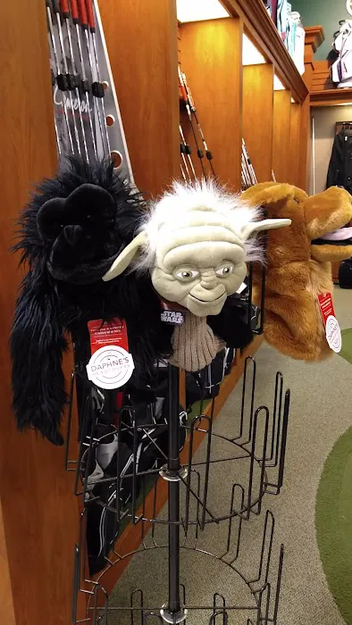DICK'S Sporting Goods Picture 9
