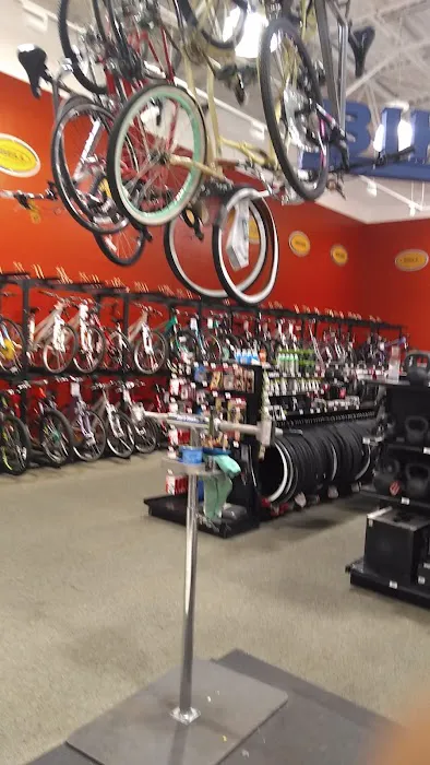 DICK'S Sporting Goods Picture 10
