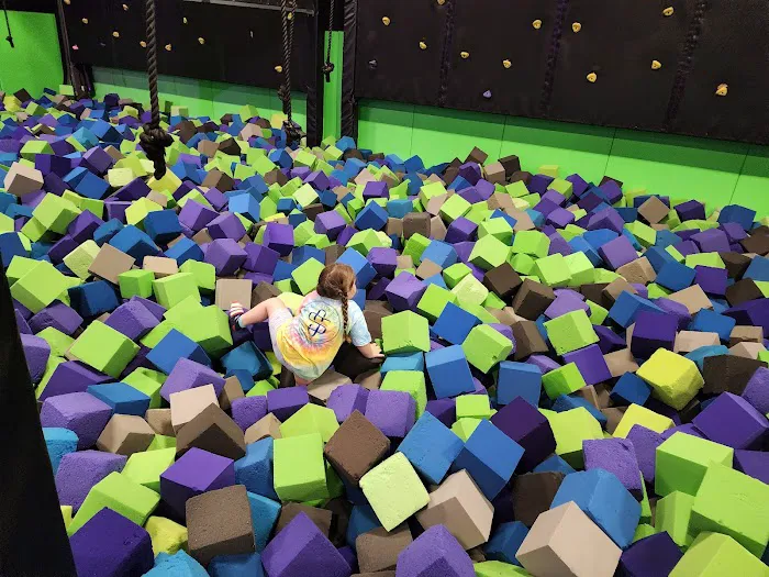 Sky Zone Trampoline Park Picture 3
