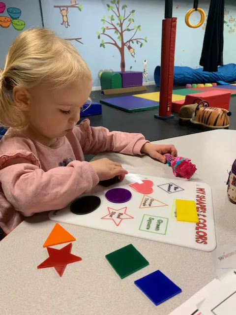 Ignite the Senses Children's Gym Picture 10