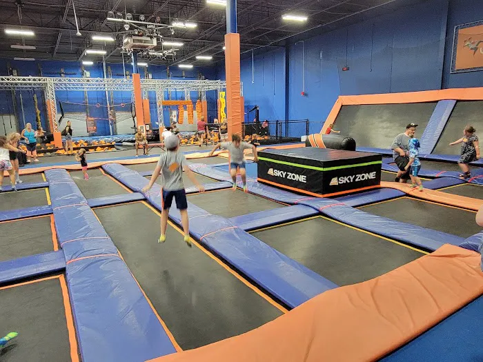 Sky Zone Hagerstown Picture 6