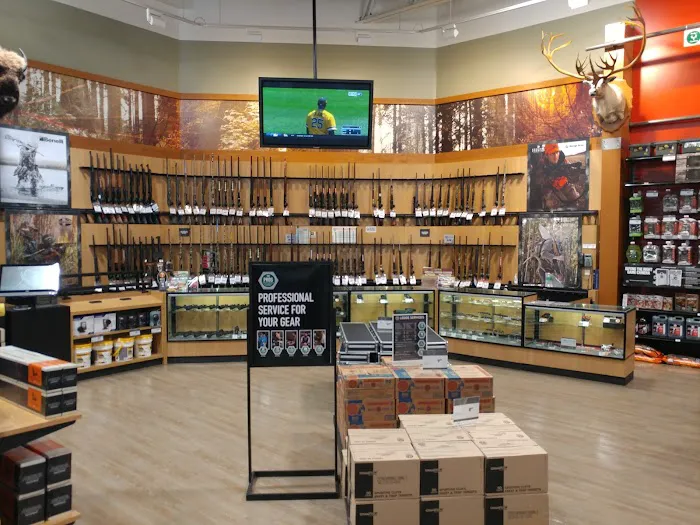 DICK'S Sporting Goods Picture 5