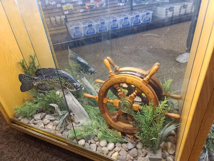 Scheels Picture 6