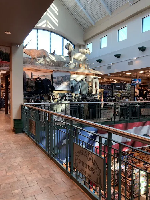 Scheels Picture 5