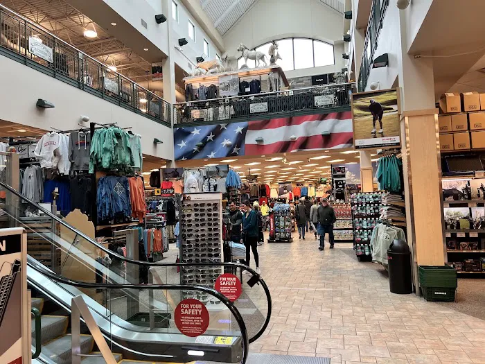 Scheels Picture 8