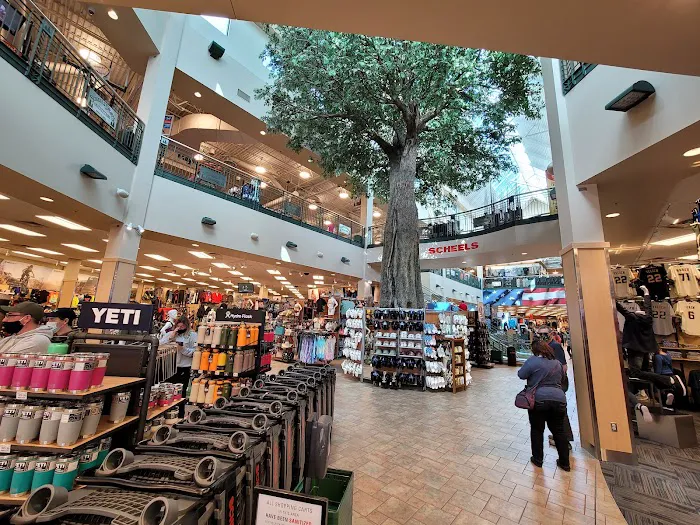 Scheels Picture 9