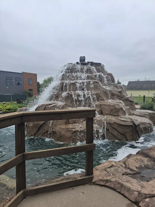 Sawmill Adventure Park - Trampoline Park & Mini Golf Picture 10