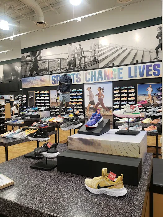 DICK'S Sporting Goods Picture 4