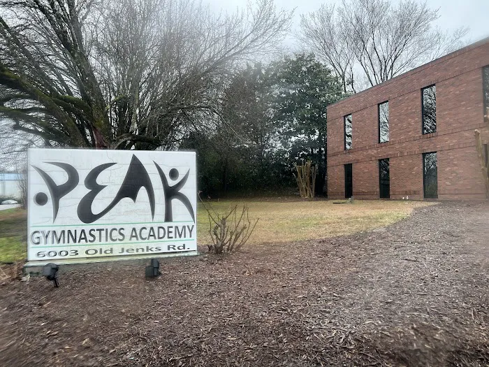 Peak Gymnastics Academy Picture 8