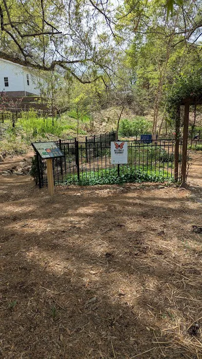 Holding Park Inclusive Playground Picture 5