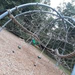 Luddy Park