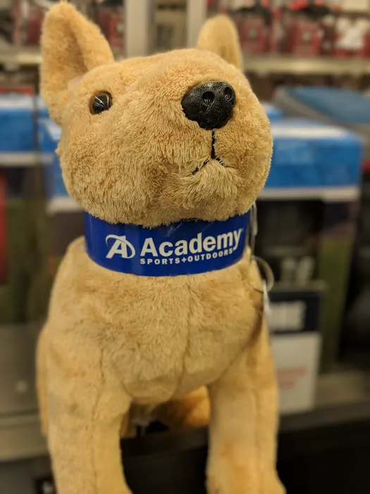 Academy Sports + Outdoors Picture 6