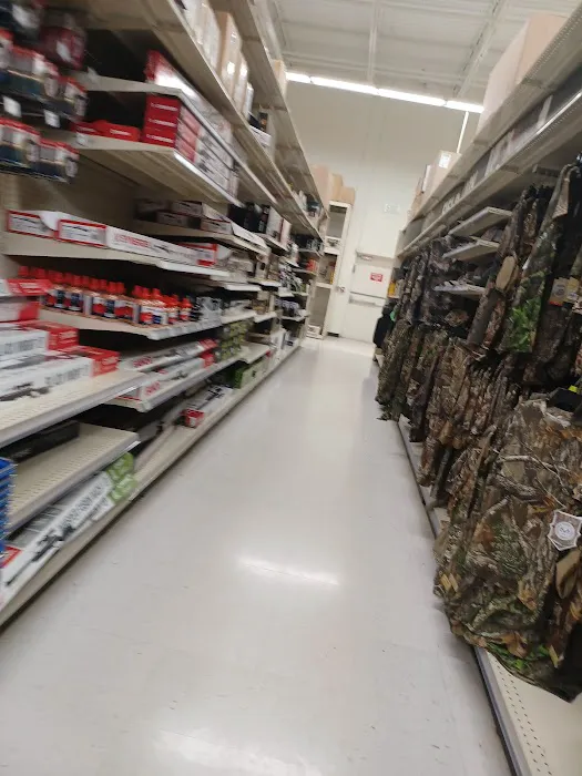Academy Sports + Outdoors Picture 5