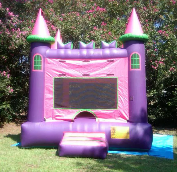 Party Jumps of Albany Picture 3