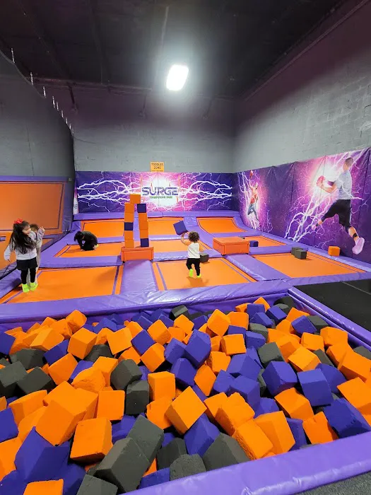 Surge Adventure Park Picture 3