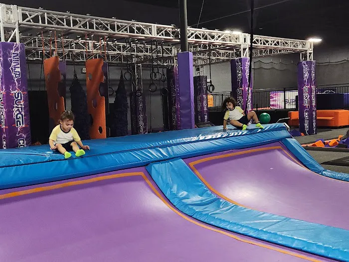 Surge Adventure Park Picture 4