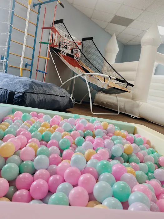 Griff ‘N May’s Indoor Playroom Picture 1