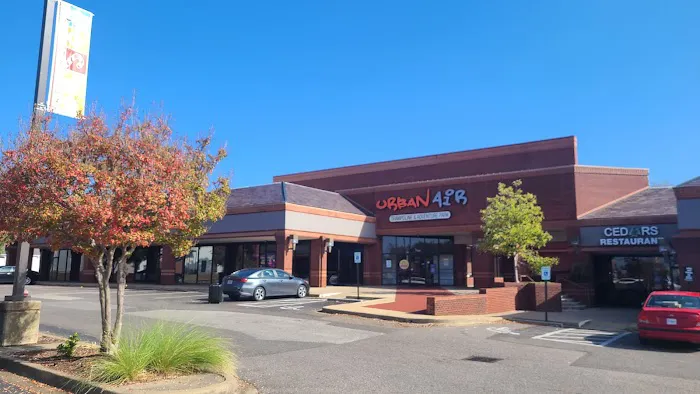 Urban Air Trampoline and Adventure Park Picture 2