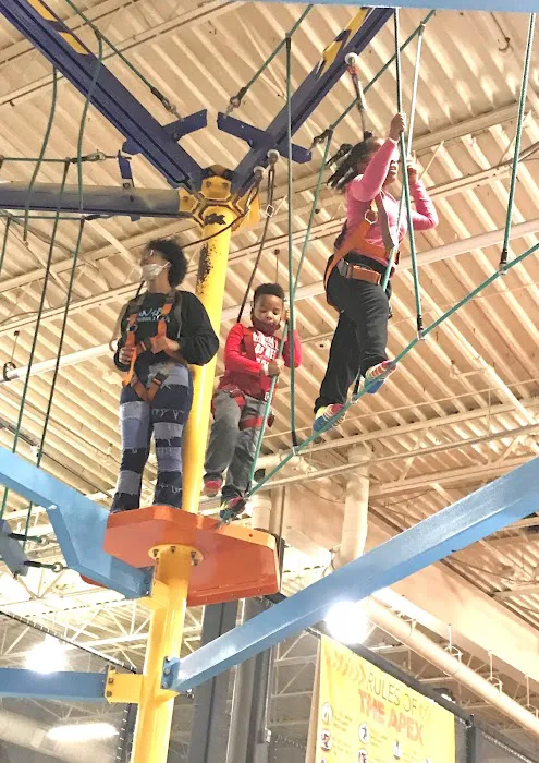 Urban Air Trampoline and Adventure Park Picture 10