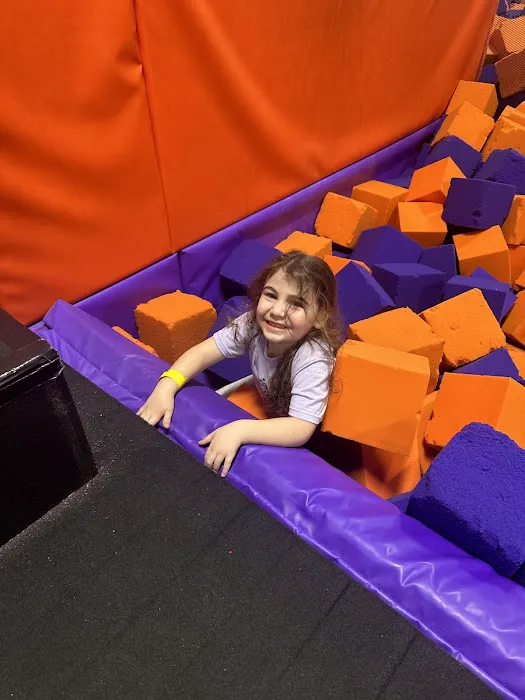 Surge Adventure Park Picture 2