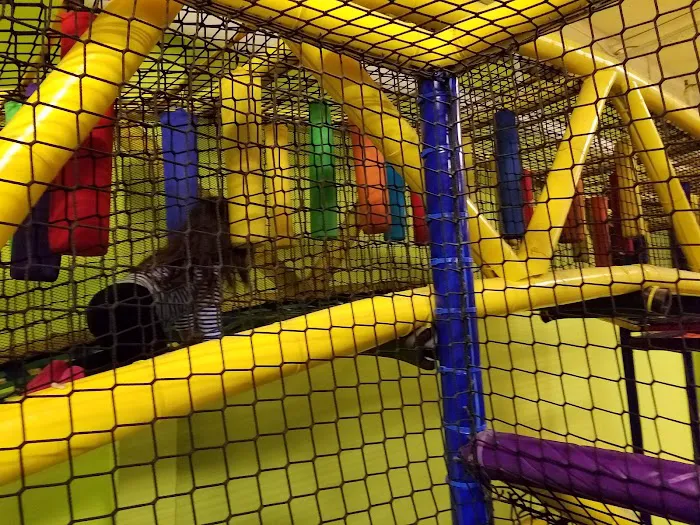 Bounce Hopper Picture 2
