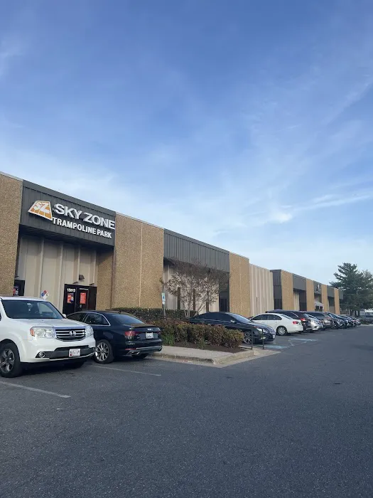 Sky Zone Trampoline Park Picture 7