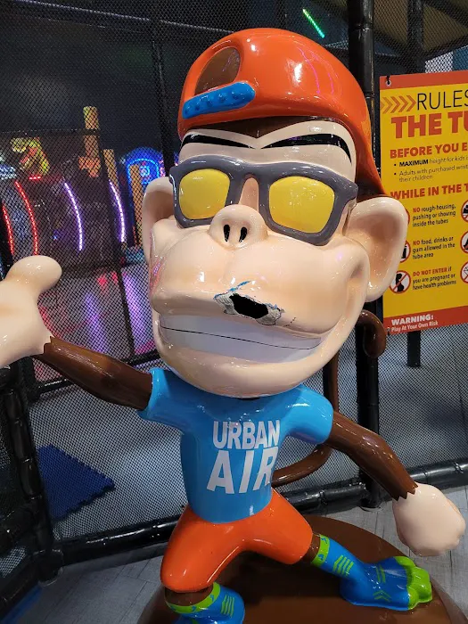 Urban Air Trampoline and Adventure Park Picture 8