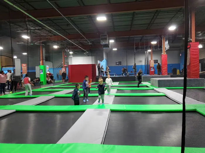 Flight Adventure Park Springfield Picture 4