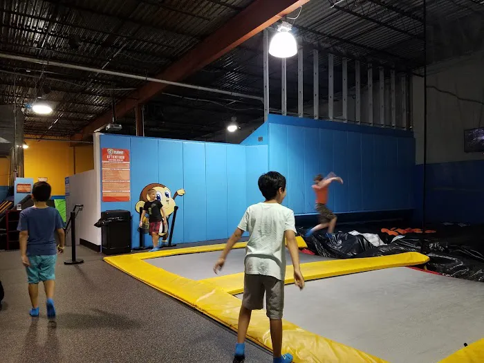 Flight Adventure Park Springfield Picture 6