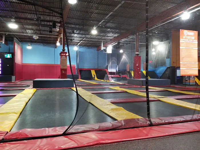 Flight Adventure Park Springfield Picture 3